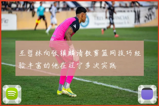 王哲林向张镇麟请教剪篮网技巧经验丰富的他在辽宁多次实践