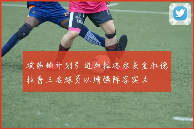 埃弗顿计划引进加拉格尔麦金和德拉普三名球员以增强阵容实力