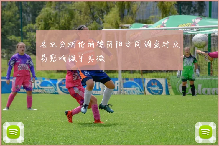 名记分析伦纳德阴阳合同调查对交易影响微乎其微